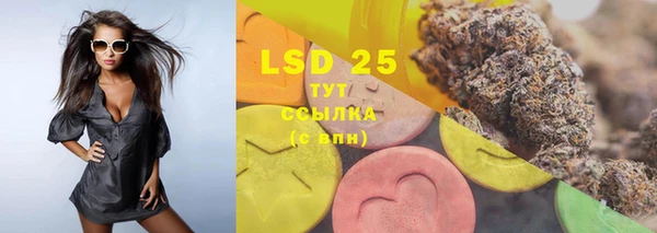 индика Балахна