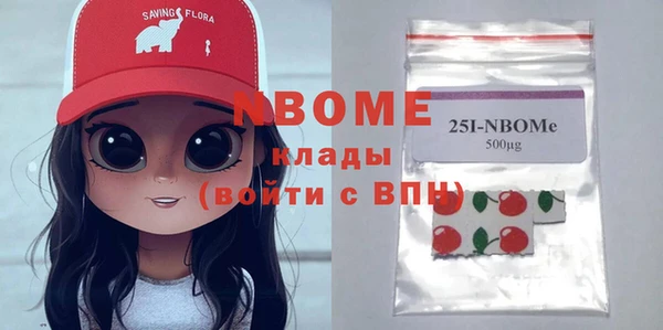 индика Балахна