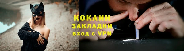 индика Балахна