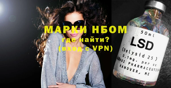 индика Балахна