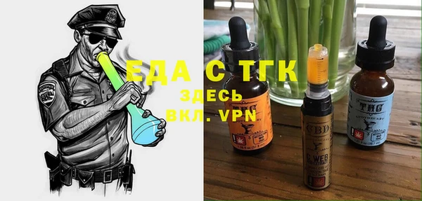индика Балахна