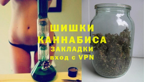 индика Балахна