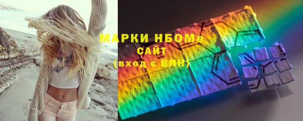 индика Балахна