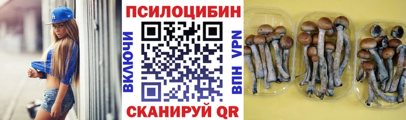 Псилоцибиновые грибы MAGIC MUSHROOMS  Горняк 